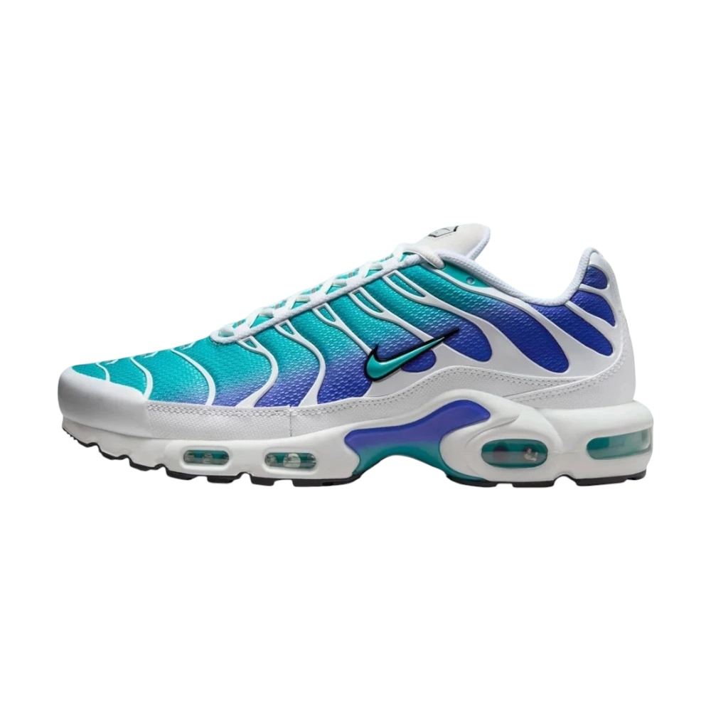 Bota Nike Air Max Plus Aqua