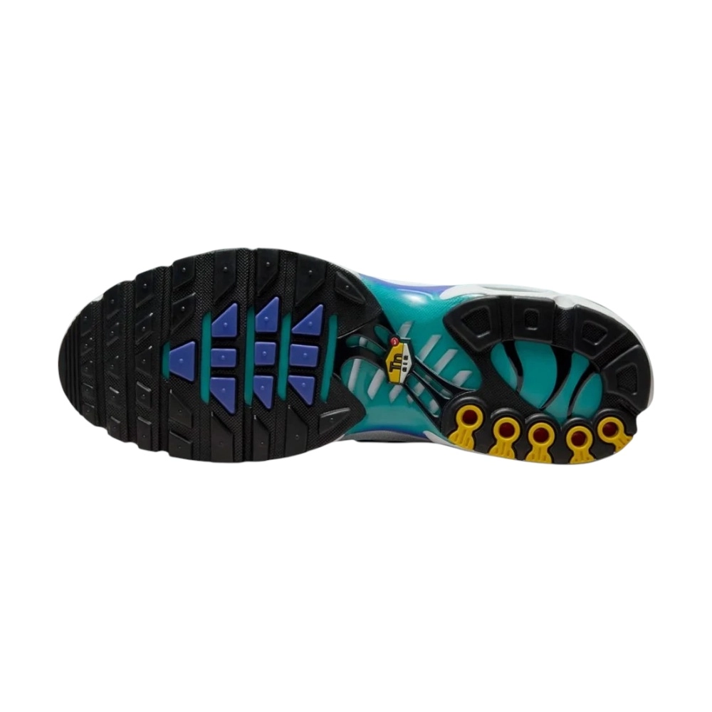 Bota Nike Air Max Plus Aqua
