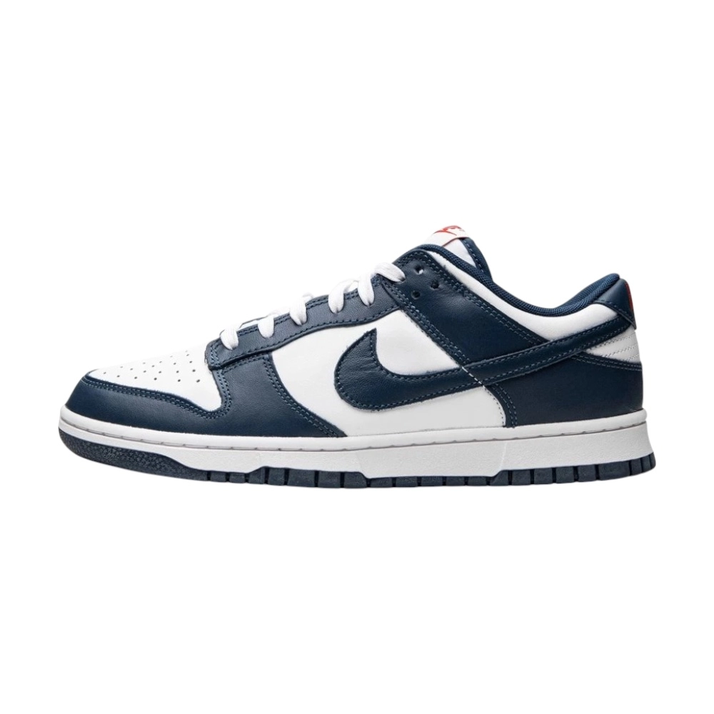 Bota Nike Dunk Low Valerian Blue