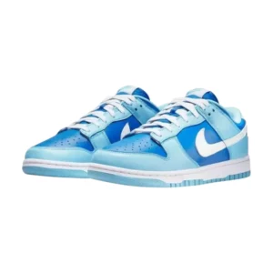 Bota Nike Dunk Low Retro QS Argon (2022)