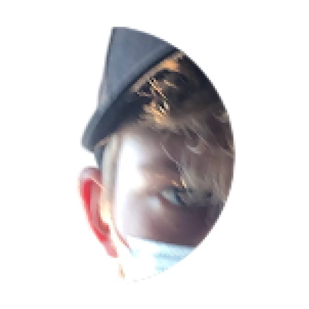 Filip Zrůst profile picture