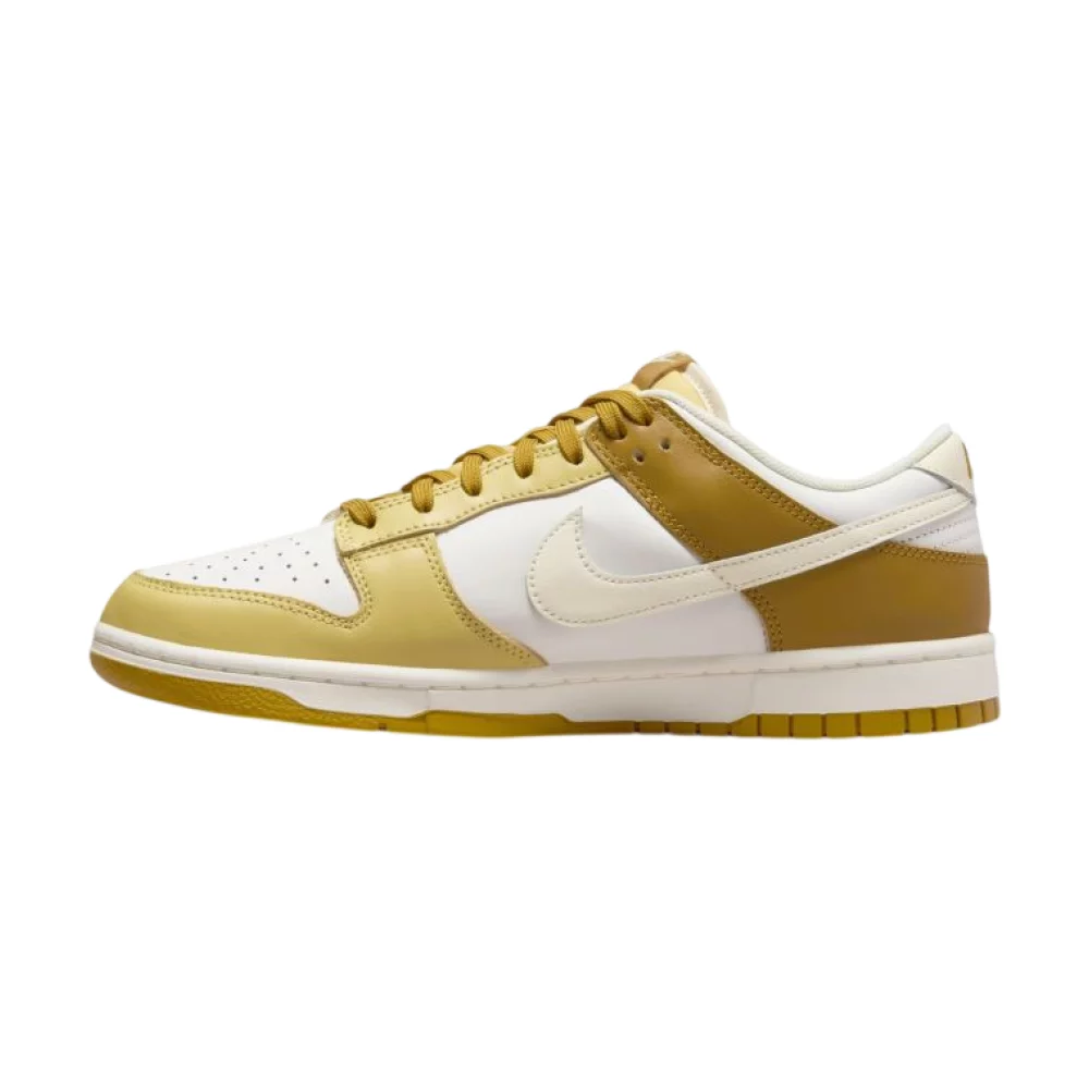 Bota Nike Dunk Low RETRO