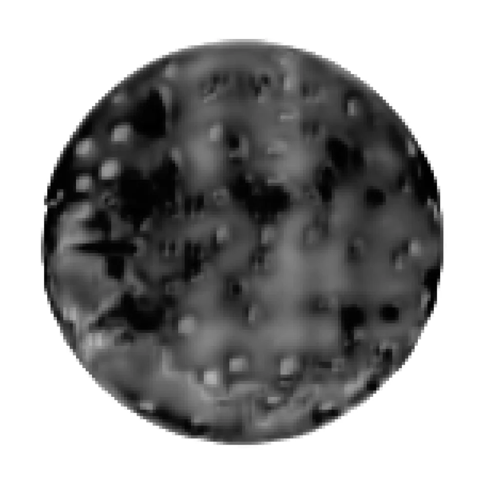 David Špaček profile picture